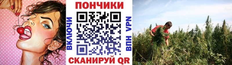 Купить закладки  Спасск  Каннабис Ganja 